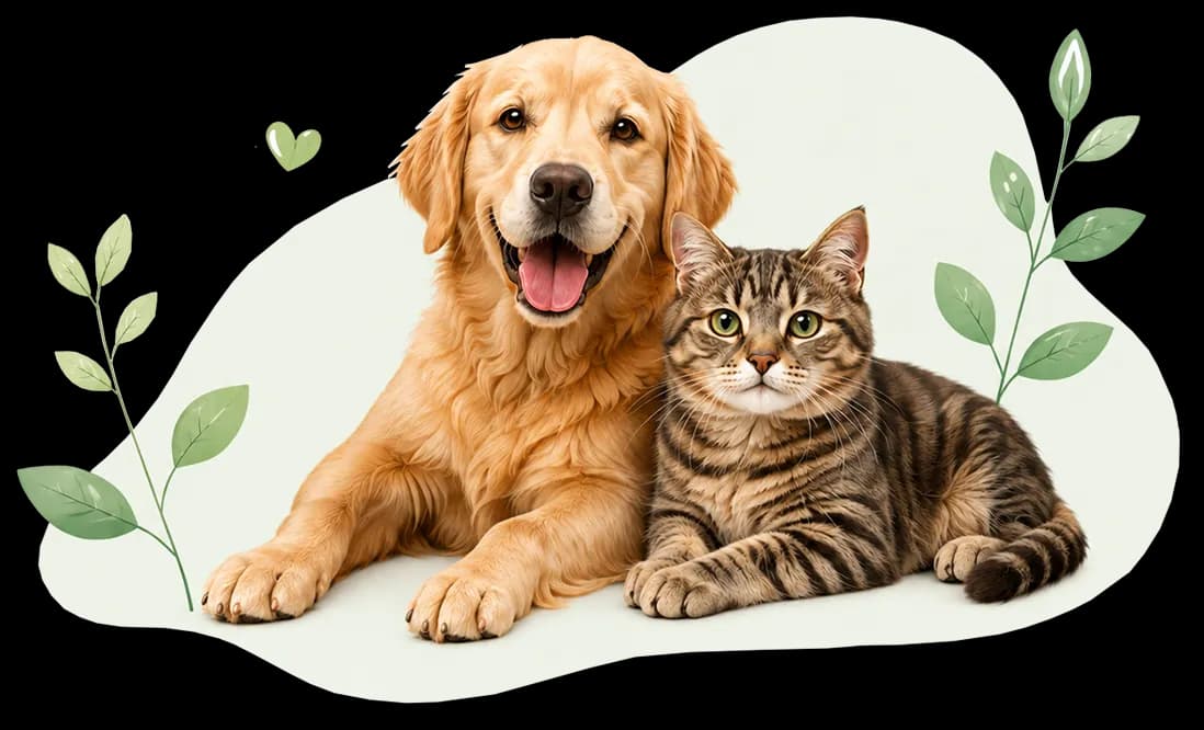 Golden Retriever dog and a tabby cat sitting together